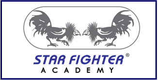 Star Fighter Academy